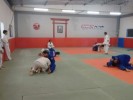 /arquivos/pessoas/113839181019foto_treino_23_02_133_100.jpg