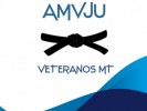/arquivos/pessoas/172221200125AMVJU_133_100.jpg