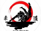/arquivos/pessoas/083619170724LOGO_JUDO_CORUMBIARA_2023_133_100.jpg