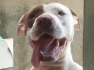 /arquivos/pessoas/130549180623TOPH_133_100.jpg